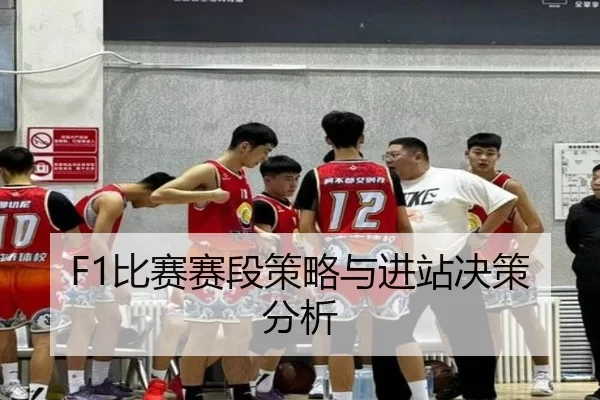F1比赛赛段策略与进站决策分析