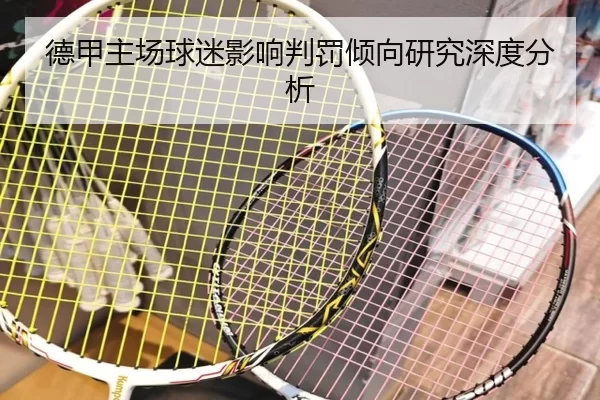 德甲主场球迷影响判罚倾向研究深度分析